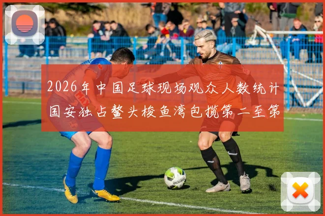 2026年中国足球现场观众人数统计国安独占鳌头梭鱼湾包揽第二至第七位
